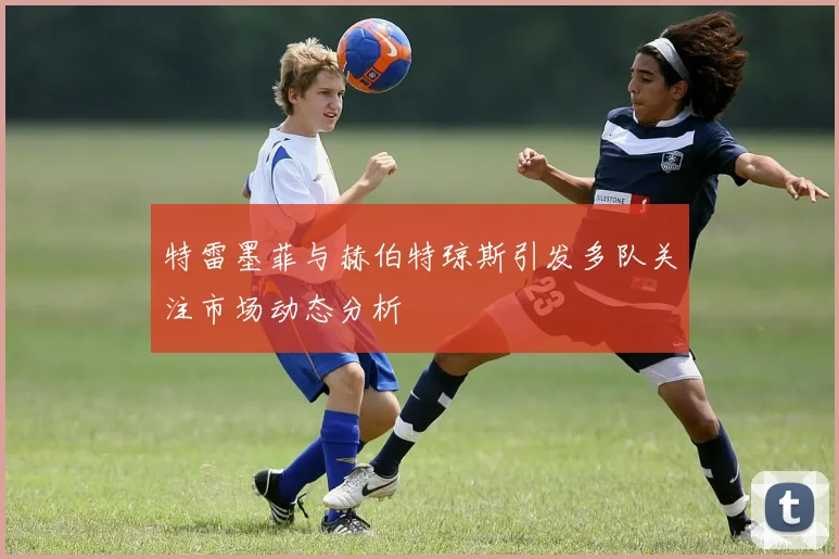 特雷墨菲与赫伯特琼斯引发多队关注市场动态分析