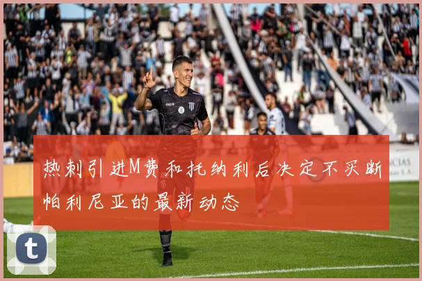 热刺引进M费和托纳利后决定不买断帕利尼亚的最新动态