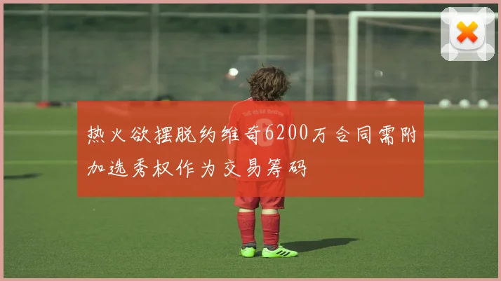 热火欲摆脱约维奇6200万合同需附加选秀权作为交易筹码