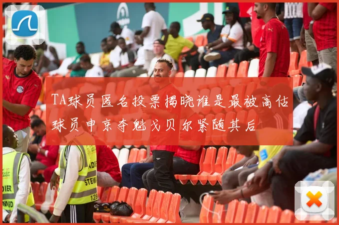 TA球员匿名投票揭晓谁是最被高估球员申京夺魁戈贝尔紧随其后