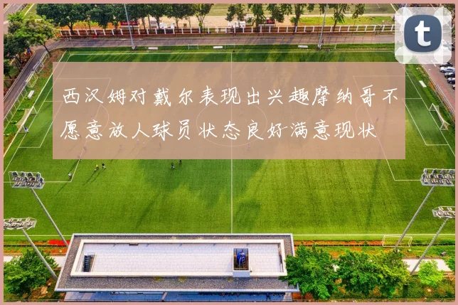 西汉姆对戴尔表现出兴趣摩纳哥不愿意放人球员状态良好满意现状